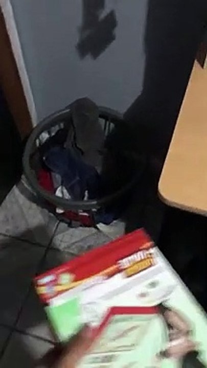Un chien caché
