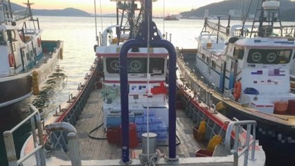 완도, 낚싯배가 교각에 부딪혀 2명 부상 / YTN