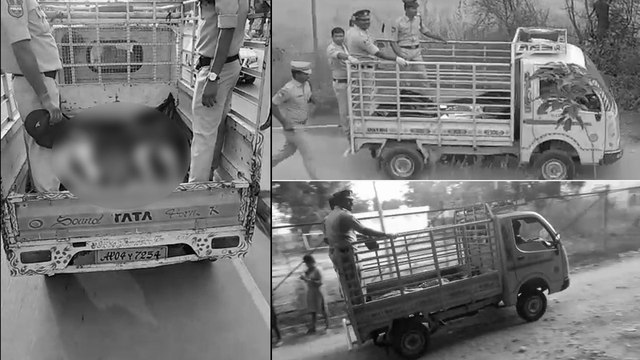 Disha Issue : EXCLUSIVE VIDEO || ఎన్ కౌంటర్ తరువాత బాడీలు తరలిస్తున్న పోలీసులు || Oneindia Telugu