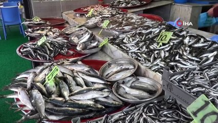 İsmail Oğuz: 'Hamsinin geleceği tehlikede'