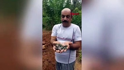 Lotodan kazandığı parayla satın aldığı arazide define buldu!