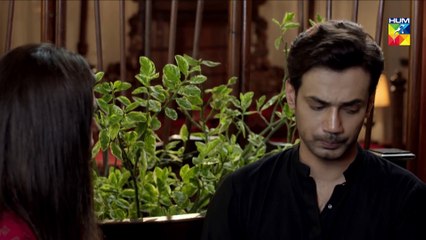 Ishq Zahe Naseeb Episode 24 HUM TV Drama 6 December 2019
