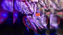 Antalya tezgahında zehirli 'balon balığı' sergiledi