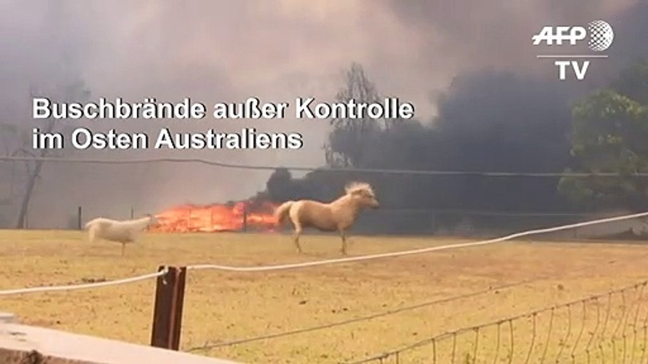 Buschbrände in Australien weiter außer Kontrolle