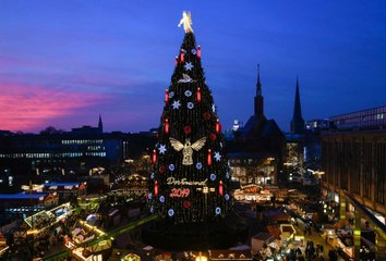 شاهد: هكذا صنعت أكبر شجرة عيد ميلاد في العالم لعام 2019