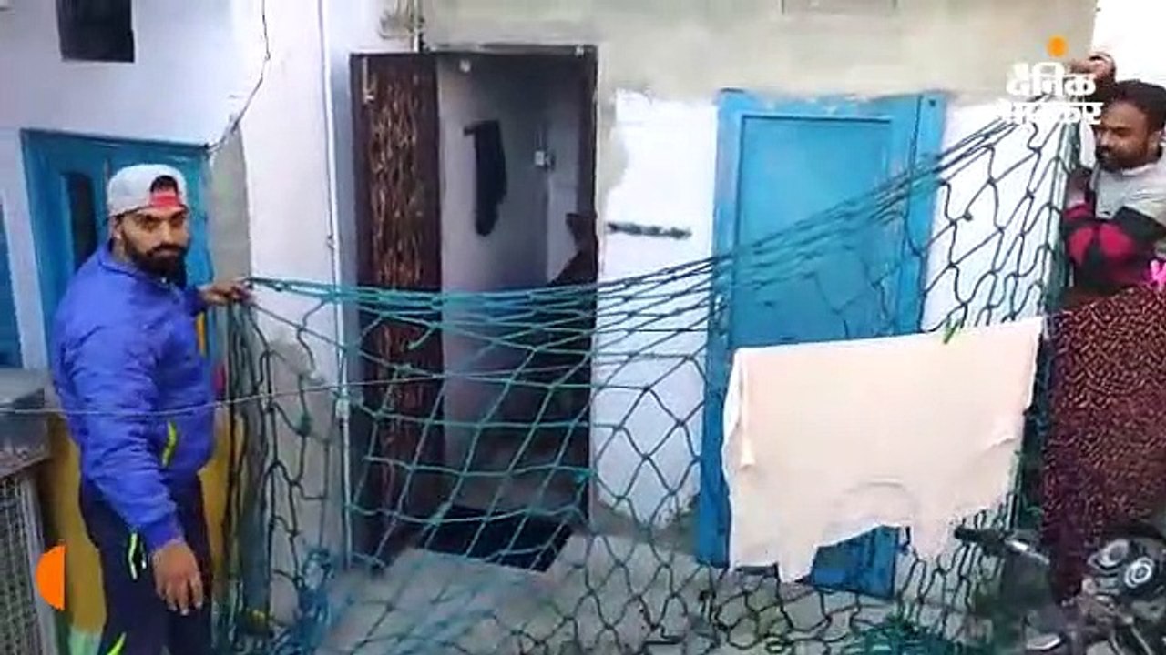 चार घंटे की मशक्कत के बाद वन विभाग ने सांभर को...
