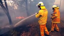 Australien: Feuerwehr kämpft gegen Buschbrände