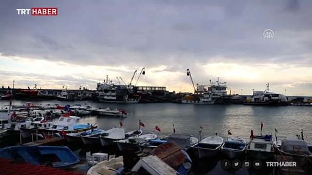 Tekirdağ'da balıkçılara eşlik eden yunuslar renkli görüntüler oluşturdu