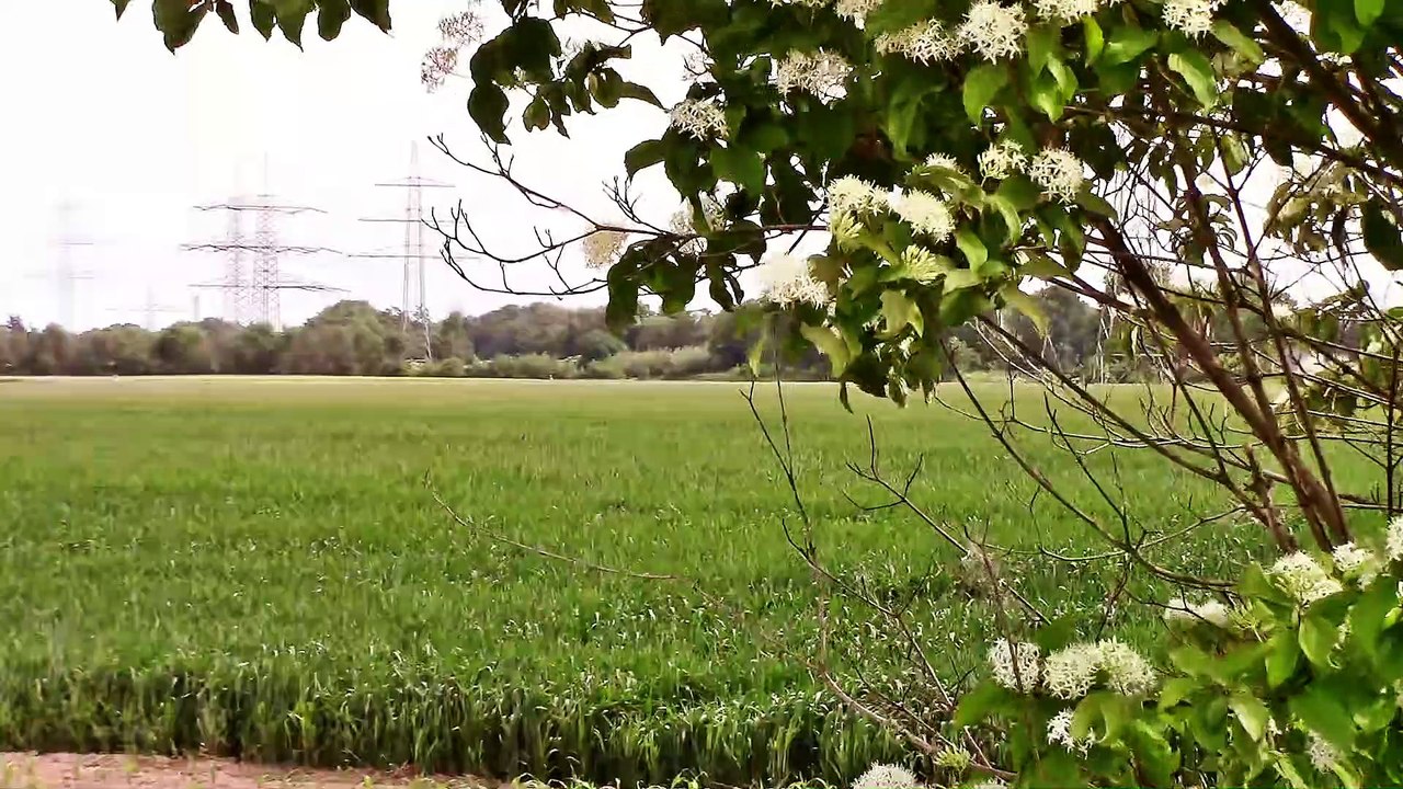 Zu Besuch in Köln – 1