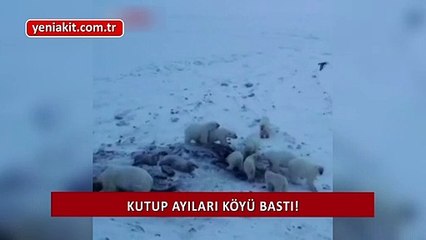 Küresel ısınma sonunda buna da sebep oldu! 56'sı birden köyü bastı