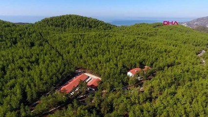 Mersin kamyonla getirilen köpekler, alanya'ya geri gönderildi-ek