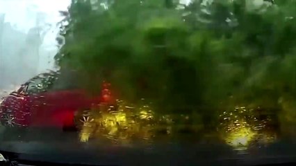 Car Crash Caught On Camera #08 | Safe Drive Save Life