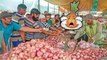 Onion Prices Cross Rs 200/kg || Oneindia Telugu