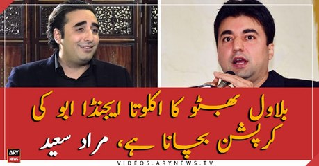 Bilawal Bhutto's only agenda is to save his father's corruption, says Murad Saeed