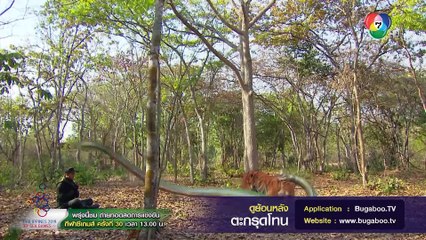 ศึกไสยเวทประจัญบานครั้งสุดท้าย ใครจะอยู่หรือใครจะไป! | ไฮไลต์ละคร ตะกรุดโทน EP.16 | Ch7HD