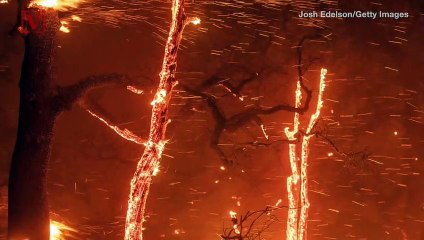 PG&E Reaches $13.5 Billion Settlement Deal With Wildfire Victims