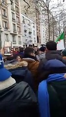 Rassemblement devant le consulat d'Algérie à Paris