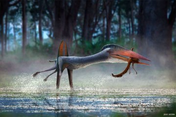 El hatzegopteryx: el gigantesco reptil volador que era más temible que el tiranosaurio rex