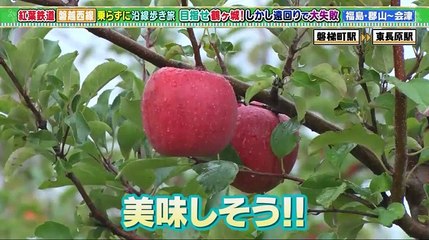 土曜スペシャル 鉄道沿線ひたすら歩き旅６ 福島・磐越西線 郡山～会津 - 19.12.07-(edit 3/3)