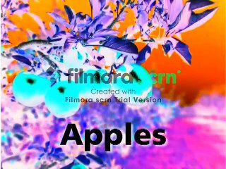 Baby MacDonald in G Major [Part 2]