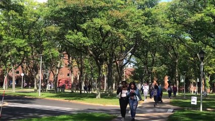 News Report- Home Invasions