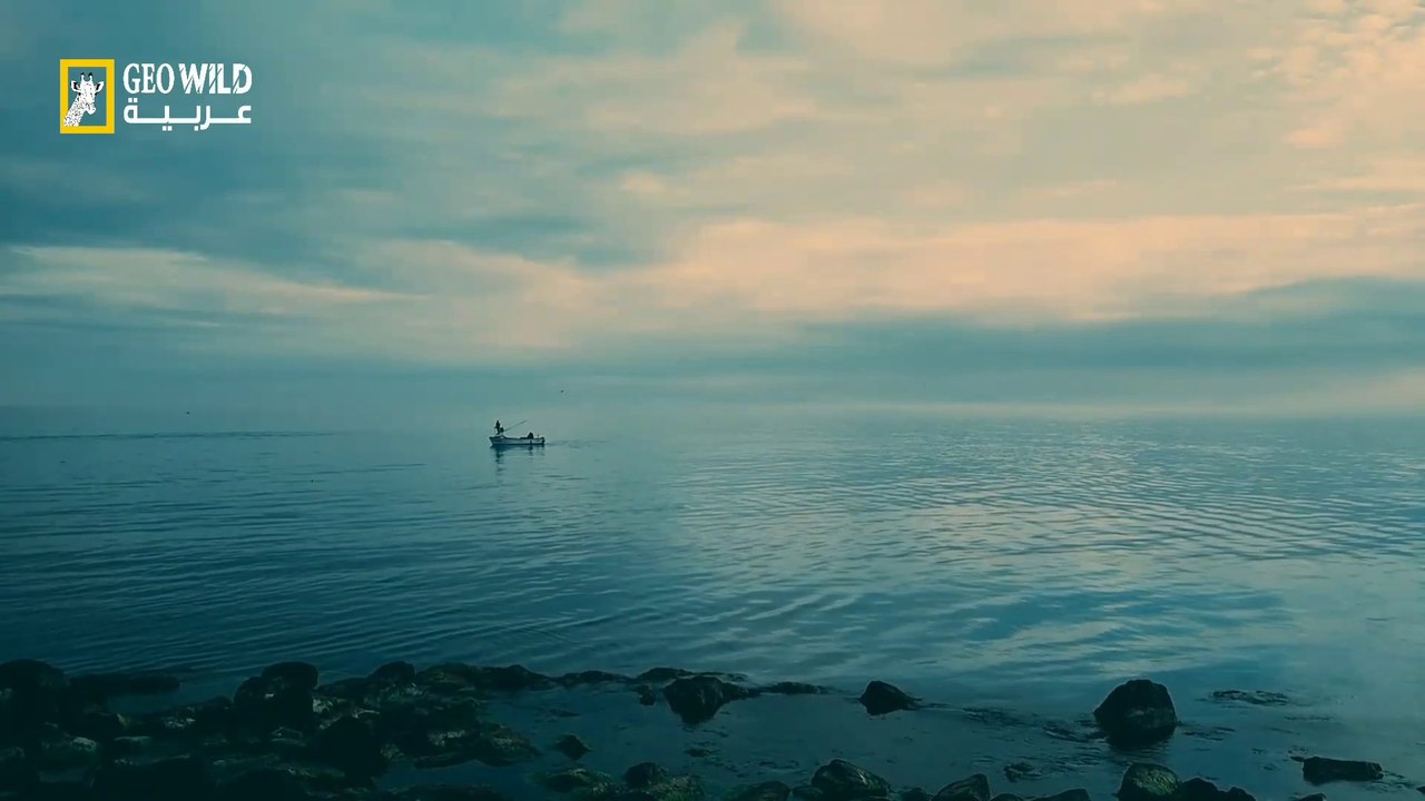 صيد الاسماك في اعماق البحار