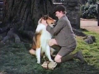 Lassie Come Home Movie (1943)