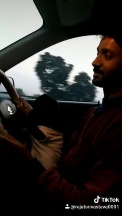 Puppy driving car