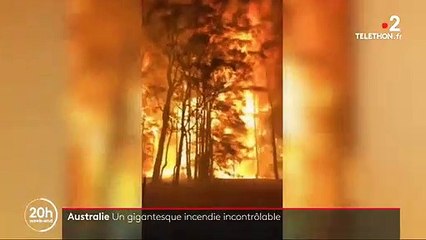 下载视频: Les images très impressionnantes des mega-incendies en Australie qui recouvrent Sydney d'une épaisse fumée