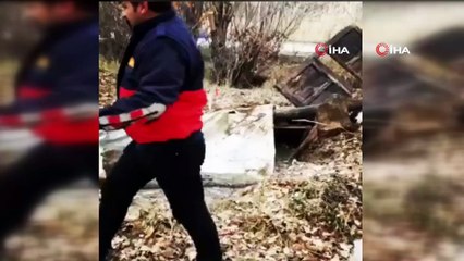 Su dolu kuyuya düşen ineği itfaiye kurtardı