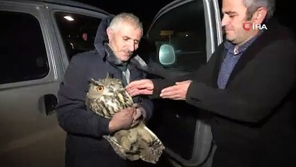 YARALI BULDUKLARI PUHU'YA YARDIM ETTİLER