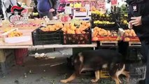 Napoli - Controlli straordinari dei carabinieri nelle aree mercatali, denunce e sequestri (06.12.19)