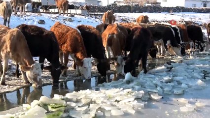 Ardahan'da Aktaş Gölü Dondu