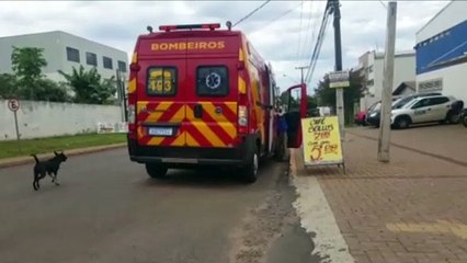 Rapaz fica ferido ao ser atacado por cachorro no Bairro Canadá