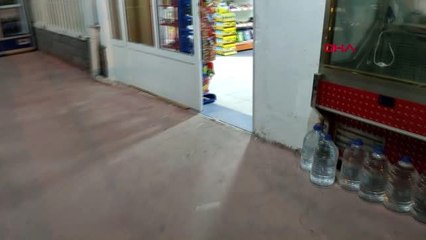 Karabük üşüyen sokak kedisi markete sığındı