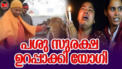 പശു സുരക്ഷ ഉറപ്പാക്കി യോഗി