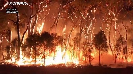 Incêndios na Austrália: Camberra envolta em fumo