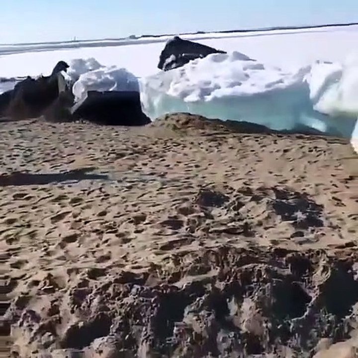 Impressionnnant : des vagues de glace avancent sur terre