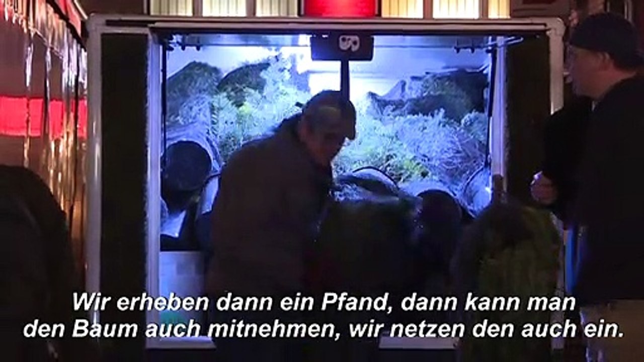 Öko-Weihnachtsbäume dürfen im Januar weiterwachsen