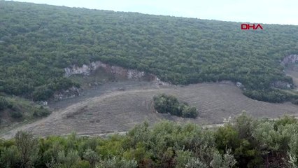 'İzmir'de doğan her çocuk için bir fidan dikilecek'