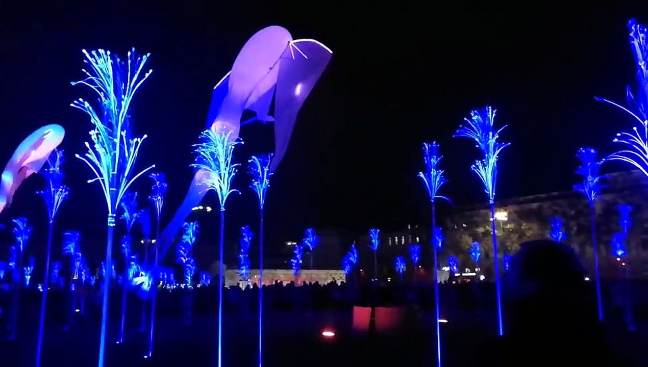 Bellecour Lumières 2019