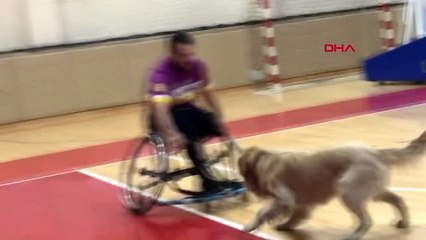 Karabük'te, sahaya giren köpek nedeniyle maç durdu