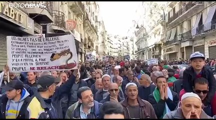 قبل يوم الحسم.. جزائريو المهجر على موعد مع الصناديق في الاستحقاق الرئاسي فهل ينتخبون؟