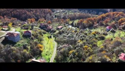 Tovoion Tv Η Πλακίδα Βοΐου 8:12:2019