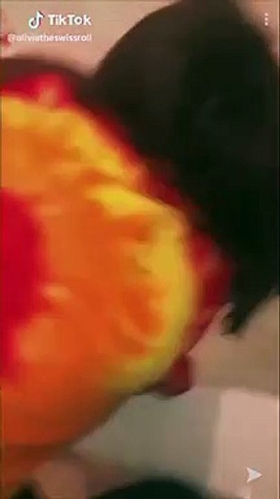 Sudan Hoşlanmayan Kedisine Banyo Yaptırmaya Çalışan Kadının Zor Anları!