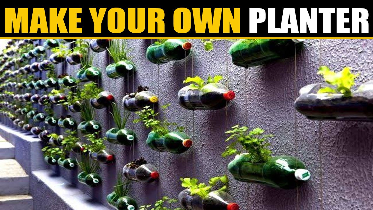 Best out of waste: Chattisgarh forest dept grows plants in platic bottles