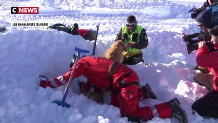 Avalanches : les sauveteurs et leurs chiens s'entraînent pour éviter le pire