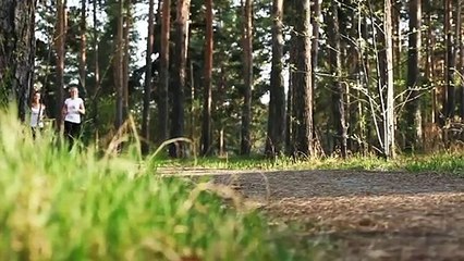 A vendre - Appartement - Lucciana (20290) - 2 pièces - 45m²