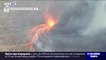 Australie: un nuage toxique enveloppe la capitale Canberra, les feux ne sont toujours pas maîtrisés