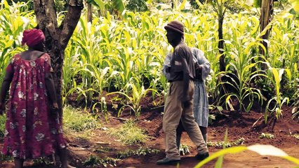 BANDE ANNONCE JUGEMENT DERNIER